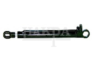 81417236500
83417236500
81417236003
81417236005-MAN-CABIN TILTING CYLINDER
